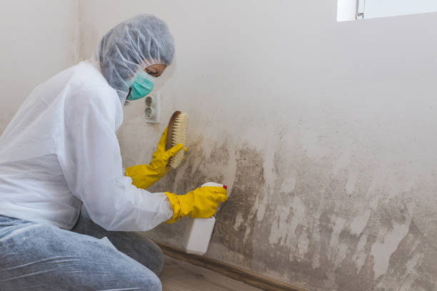 Forensic Mold Investigation in Kemp, TX